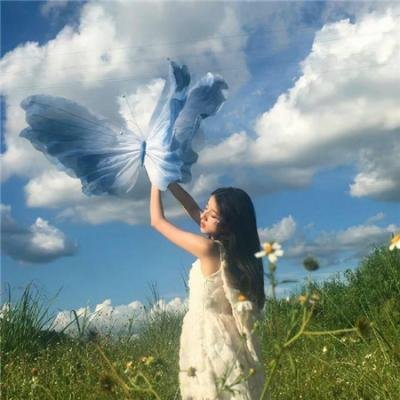 太阳神父月亮修女封面