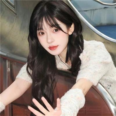 朱德与史沫特莱封面